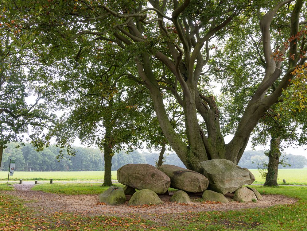 Drenthe - Horecamakelaardij Knook & Verbaas